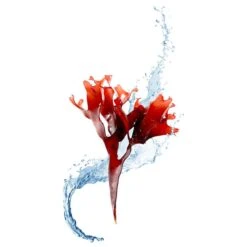 FOREO Make My Day UFO-Activated Mask (7 Pack) -FOREO || Braun || Therabody Shop FO F3814 DA LFS 006