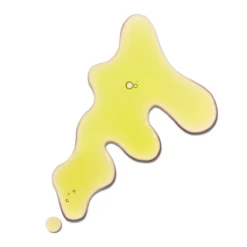 FACEGYM Face Coach Oil (15/30ml) -FOREO || Braun || Therabody Shop coach3 1